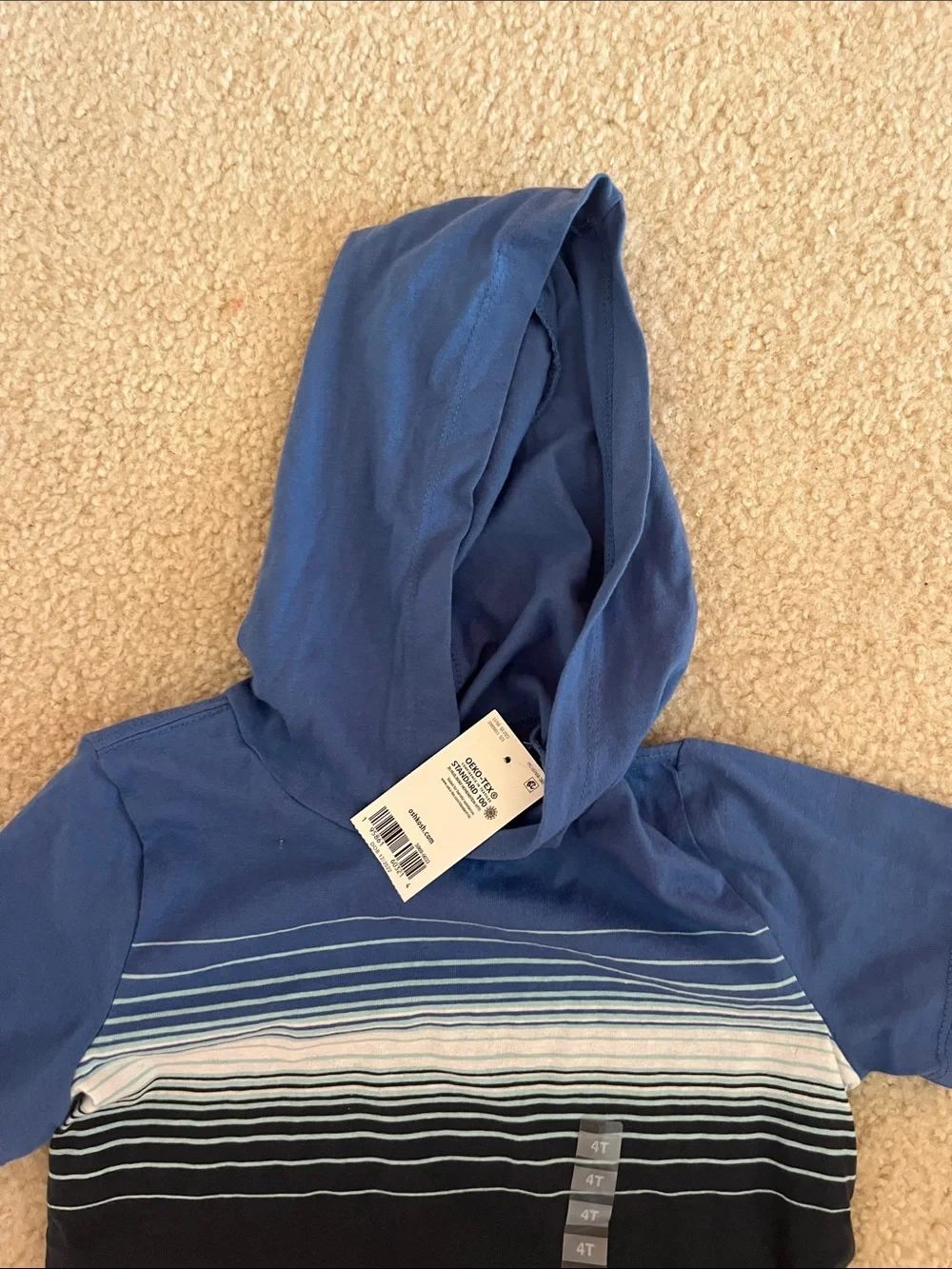 OshKosh B'gosh Blue Hooded Stripe Tee with Black Shorts